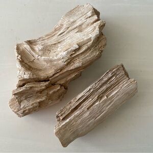2 Small Chunks Cut and Unpolished Arizona Petrified Wood 13.5 oz total weight